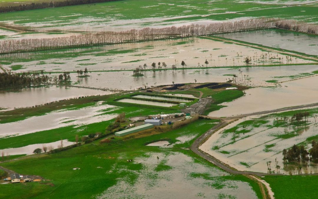 No place in New Zealand is immune to natural disasters